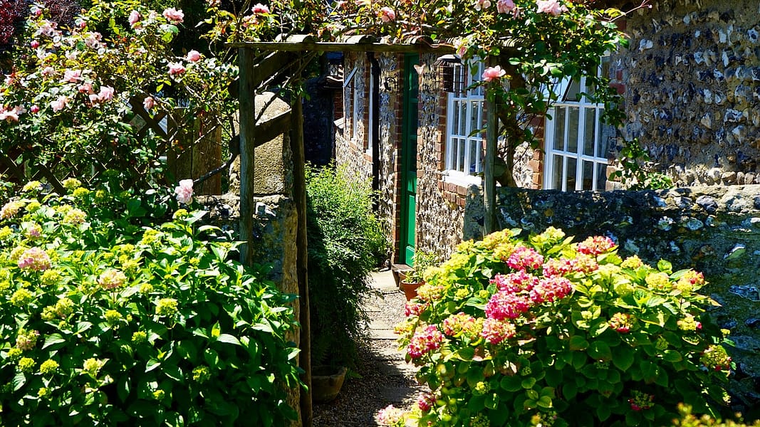Top 5 Home Gardening Tips for Beginners