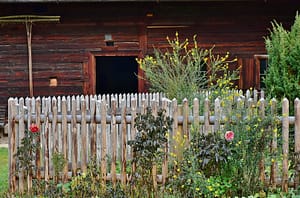 home gardening tips
