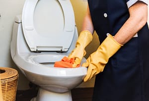 house cleaner