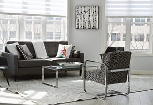 carpet furniture sofa