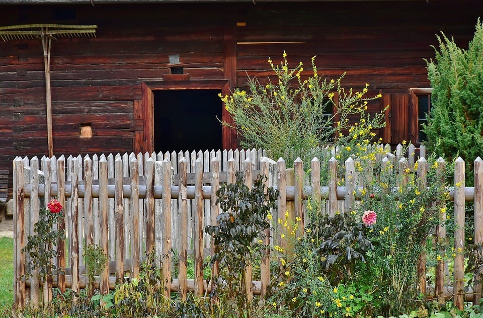 home gardening tips